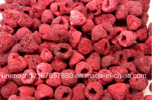 Food Vacuum Freeze Dryer Machine
