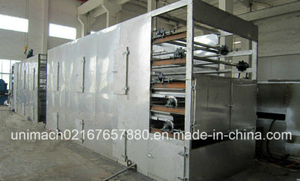 5 Layers Mesh Belt Dryer (DW5)