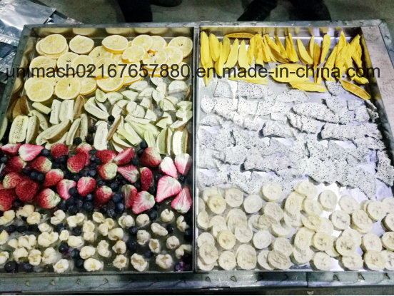 Food Vacuum Freeze Dryer Machine