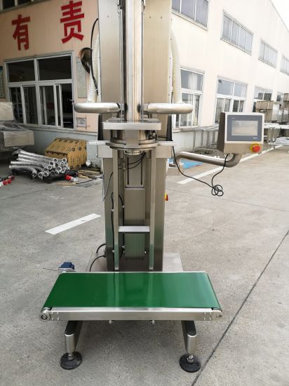 Big Bag Powder Filling Machine (DCS-5 SERIES)