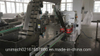 High Speed Capping Machine with Cap Elevator (GX200)